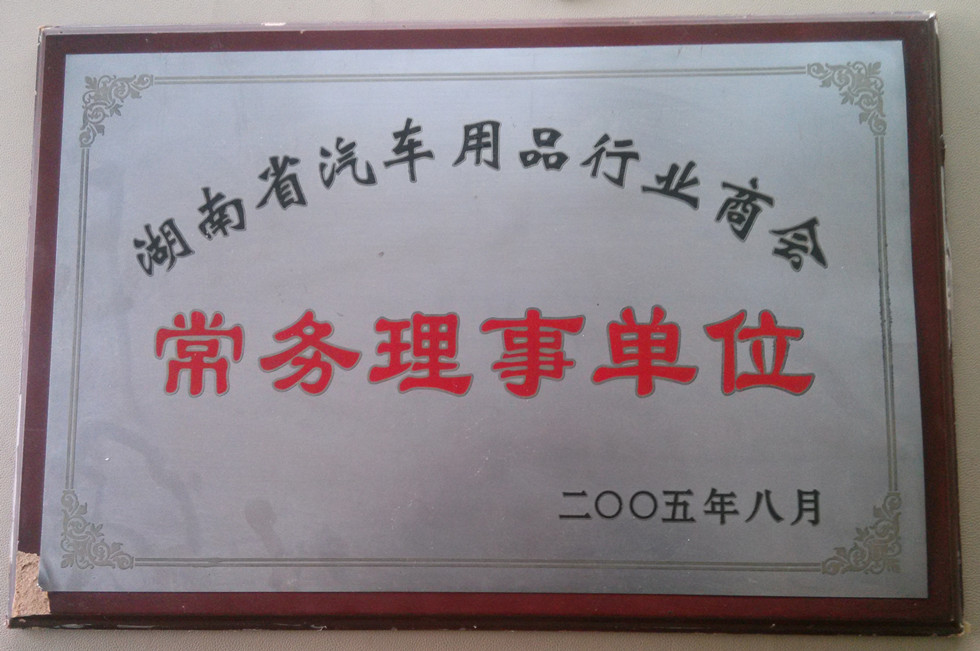 華志(zhì)獲2005年常務理事(shì)單位